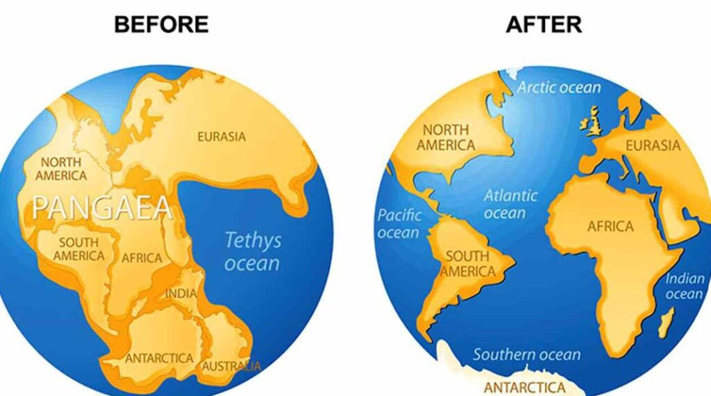 Why Pangaea Matters (Beyond a Cool Fact)